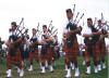 pipers1.jpg (71782 bytes)